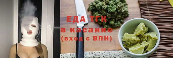 индика Ельня