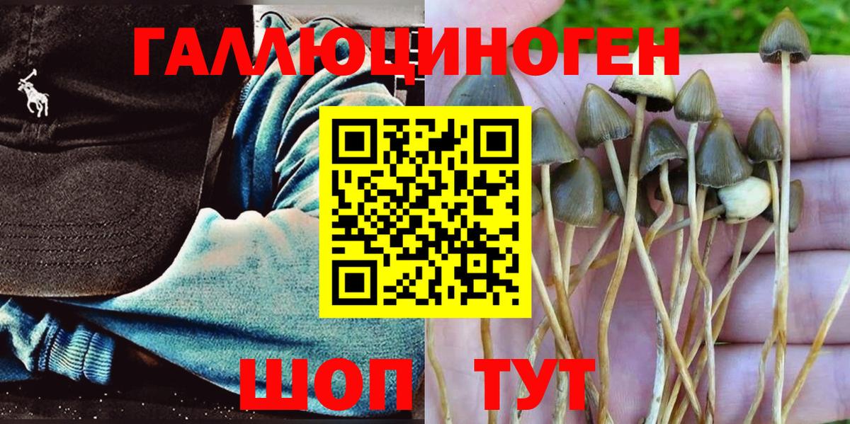 Аксай  Псилоцибиновые грибы Psilocybine cubensis  купить закладку  Вход с VPN 
