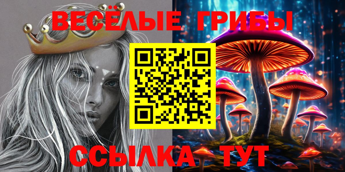 Псилоцибиновые грибы Psilocybe Аксай